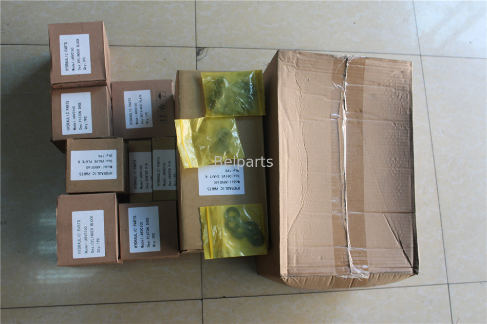 A6VM A2FM A4VG A8V A10V A10VO A11V হাইড্রোলিক এক্সকাভেটর যন্ত্রাংশ অক্ষীয় পিস্টন পাম্প মোটর মেরামতের কিটস রেক্সরথ